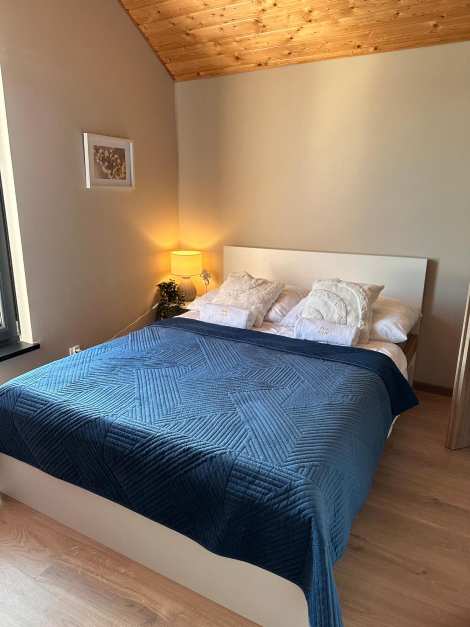 Domki Zlote Piaski Kryty Basen Sauna Jacuzzi Jastrzębia Góra Buitenkant foto